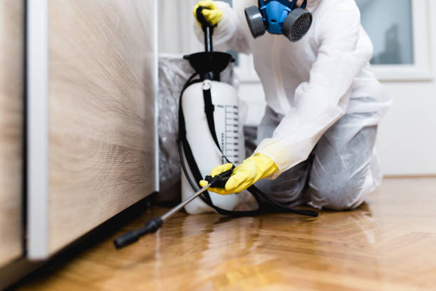 Best Emergency Pest Control  in Sheridan, AR