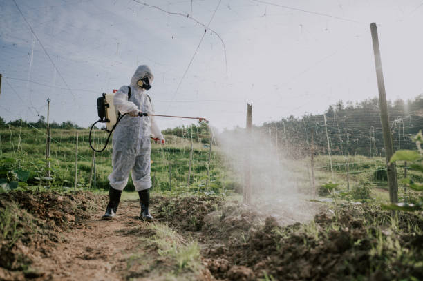 Best Best Pest Control Companies  in Sheridan, AR