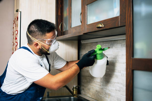 Best Mosquito Control Services  in Sheridan, AR