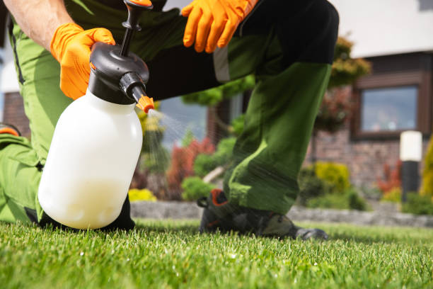 Trusted Sheridan, AR Pest Control Experts