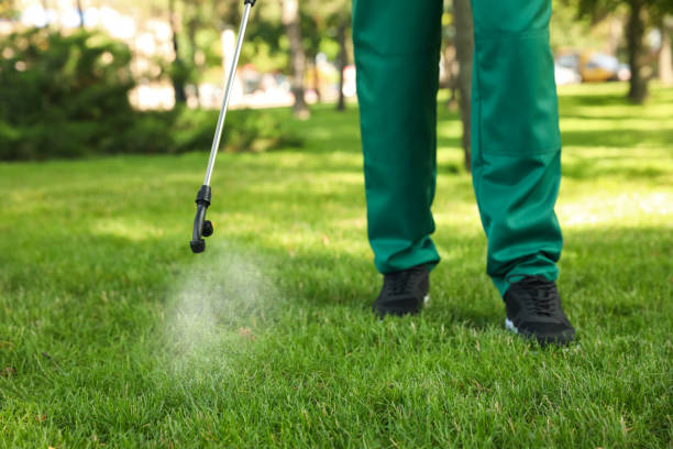 Best Affordable Pest Control Services  in Sheridan, AR