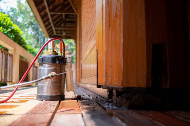 Best Cockroach Control Services  in Sheridan, AR