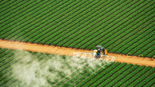 Best Pest Removal Services  in Sheridan, AR