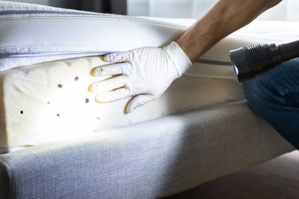 Best Exterminator Services  in Sheridan, AR
