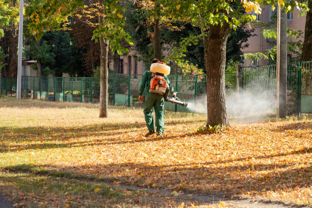 Best Residential Pest Control  in Sheridan, AR